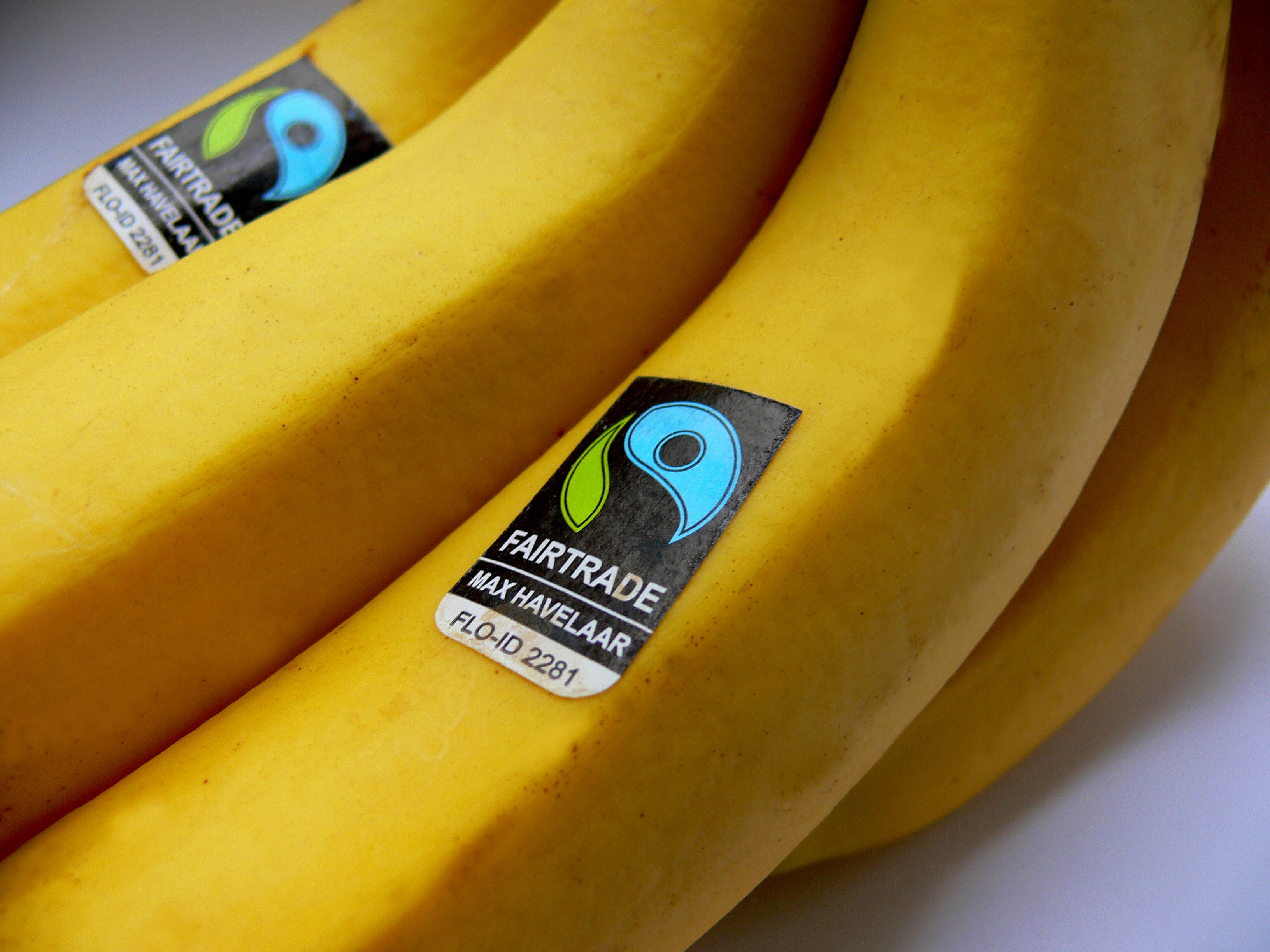 banana journey fairtrade